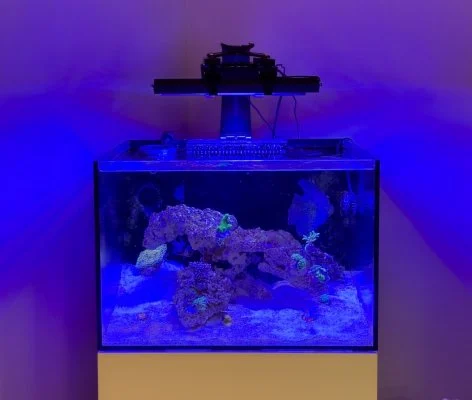 Radion to LED bar articulating mount